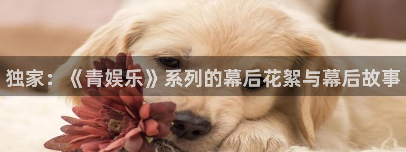 卧龙娱乐登录入口