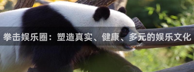 卧龙娱乐