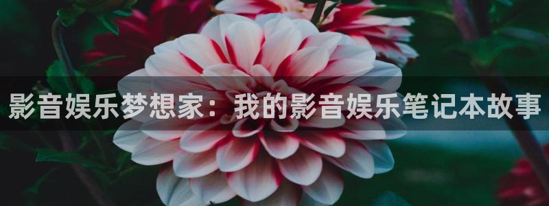 卧龙娱乐登录入口