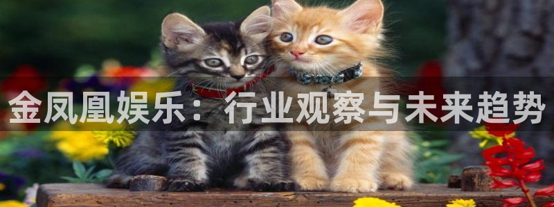 卧龙娱乐