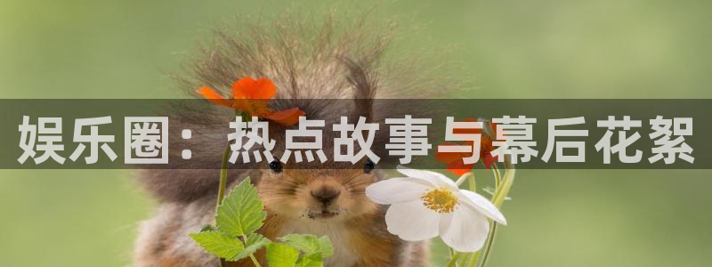 卧龙娱乐怎么样