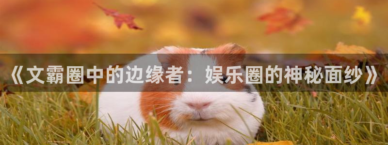 卧龙娱乐