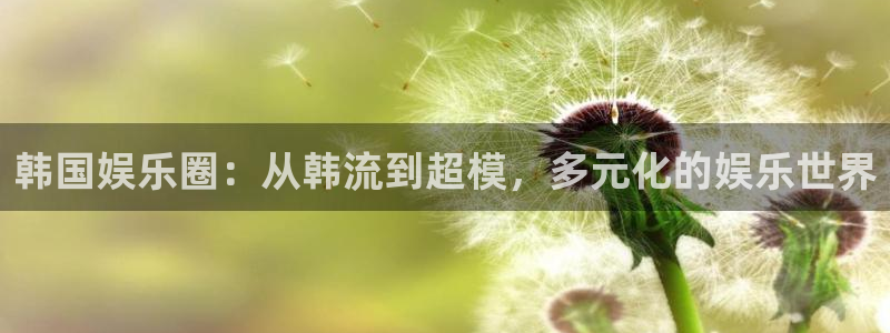 卧龙娱乐登录入口