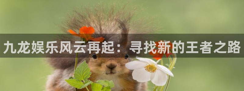 卧龙娱乐登录入口