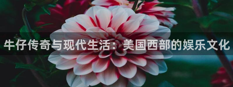 卧龙娱乐