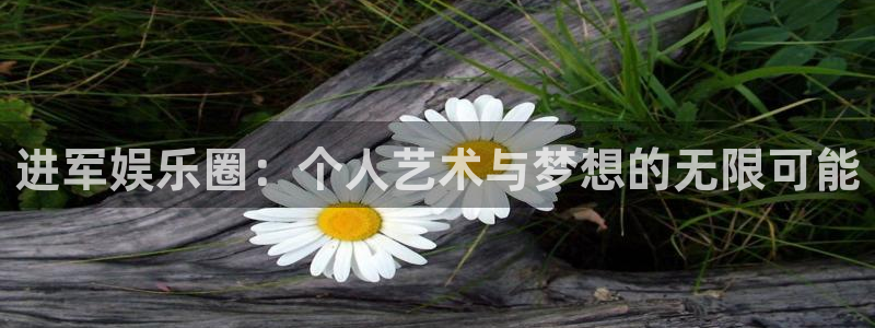 卧龙娱乐登录入口